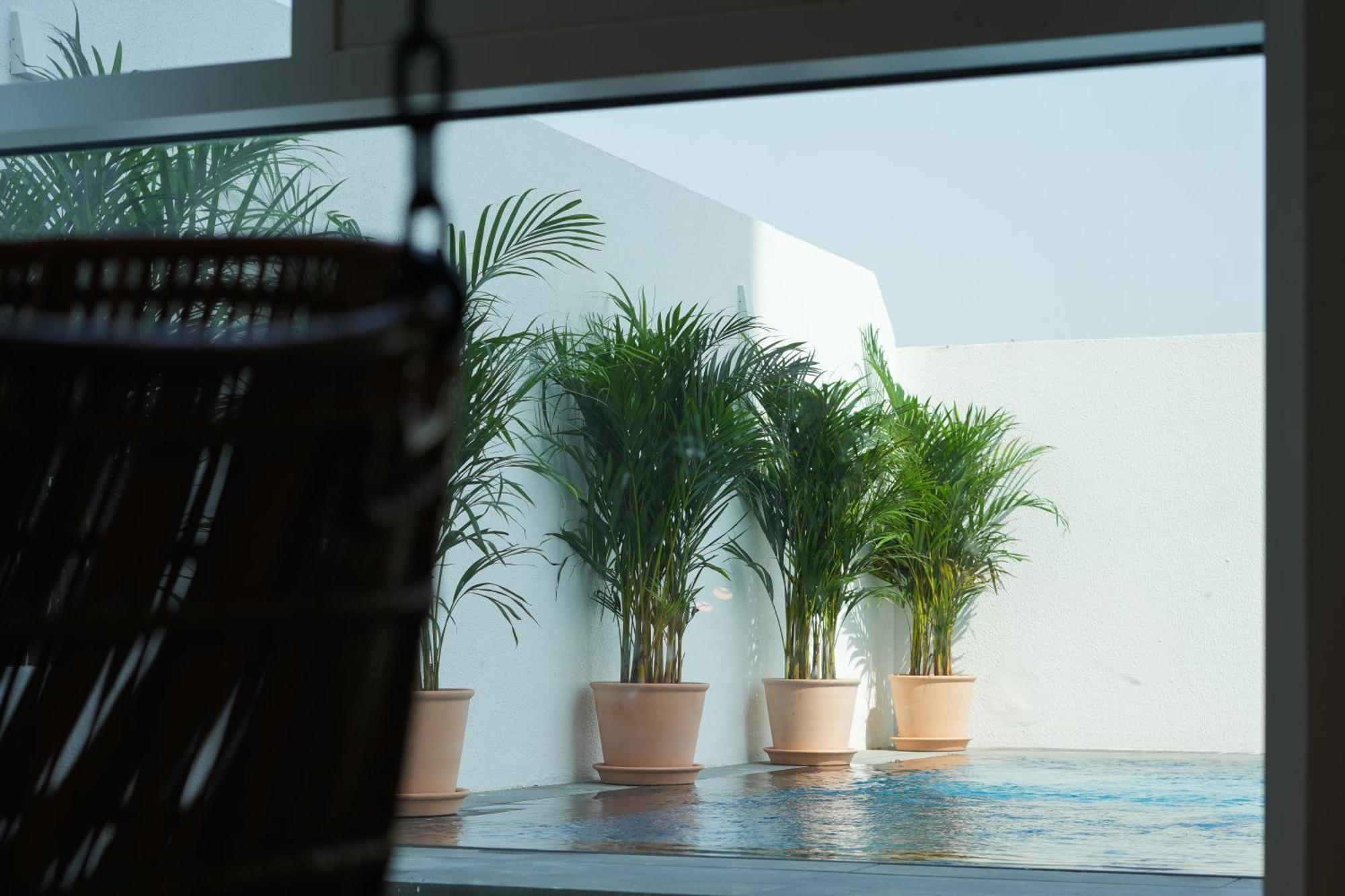 Shada Hotel Jumeirah Garden Dubai Eksteriør bilde